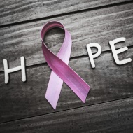 Breast Cancer Survivor Fitness Program
